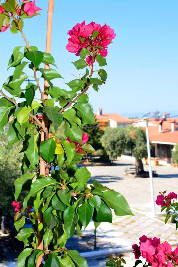 Blue North Luxury Apartment Limenas  Bagian luar foto